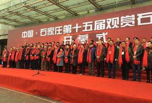 石家庄最新新闻爆料,突发事件引发全城关注